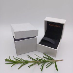 Pandora Box - Empty with outer box